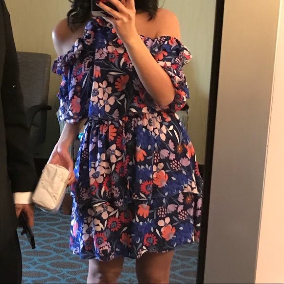 Parker Lorenzo dress -size 0-rose blue bay floral - Picture 5 of 5